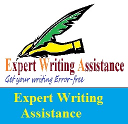 Expert Writing Assistance